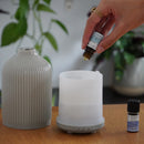 Diffuseur d'huiles essentielles Joséphine
